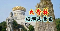 乱插女生的逼网站中国浙江-绍兴大香林旅游风景区
